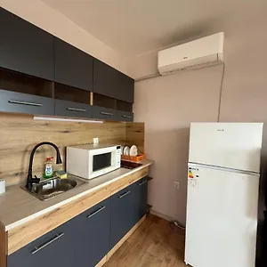 елка Apartament